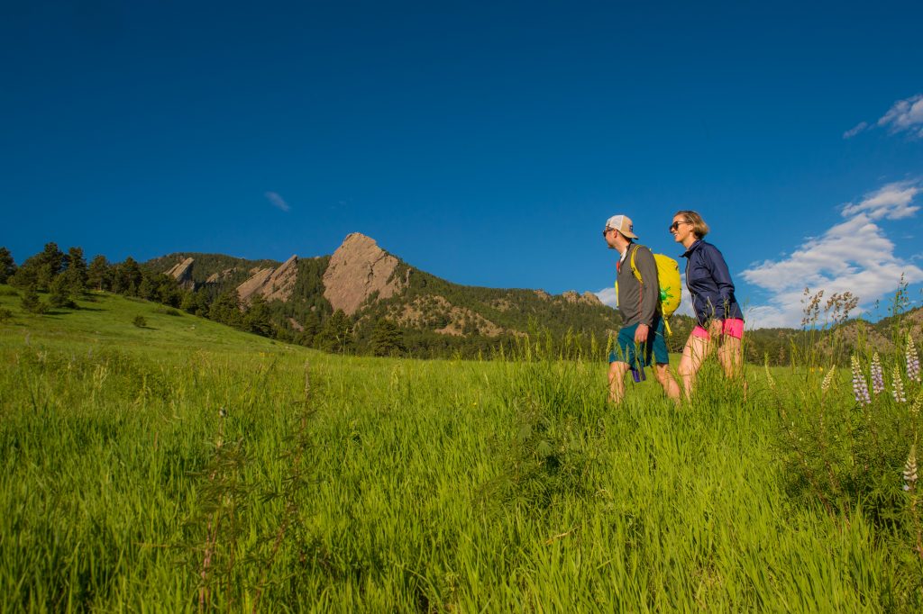 Couple walking through meadow with mountain scene in background