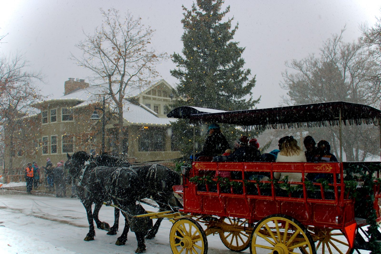 Horse drawn carriage carrying group through the snow