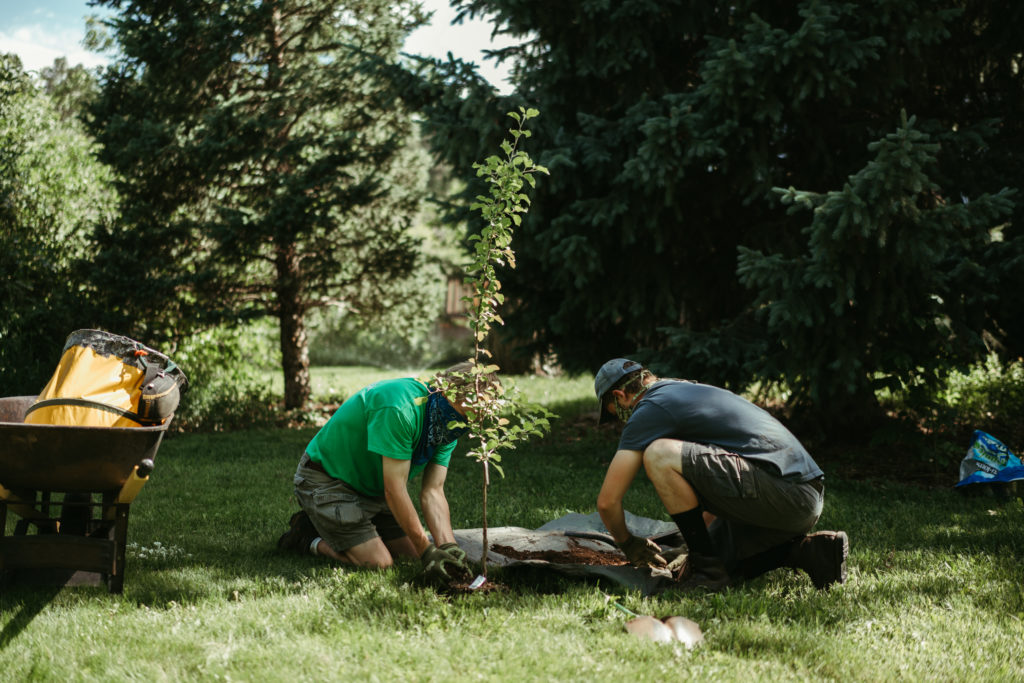 Chautauqua gardeners planting native apple trees