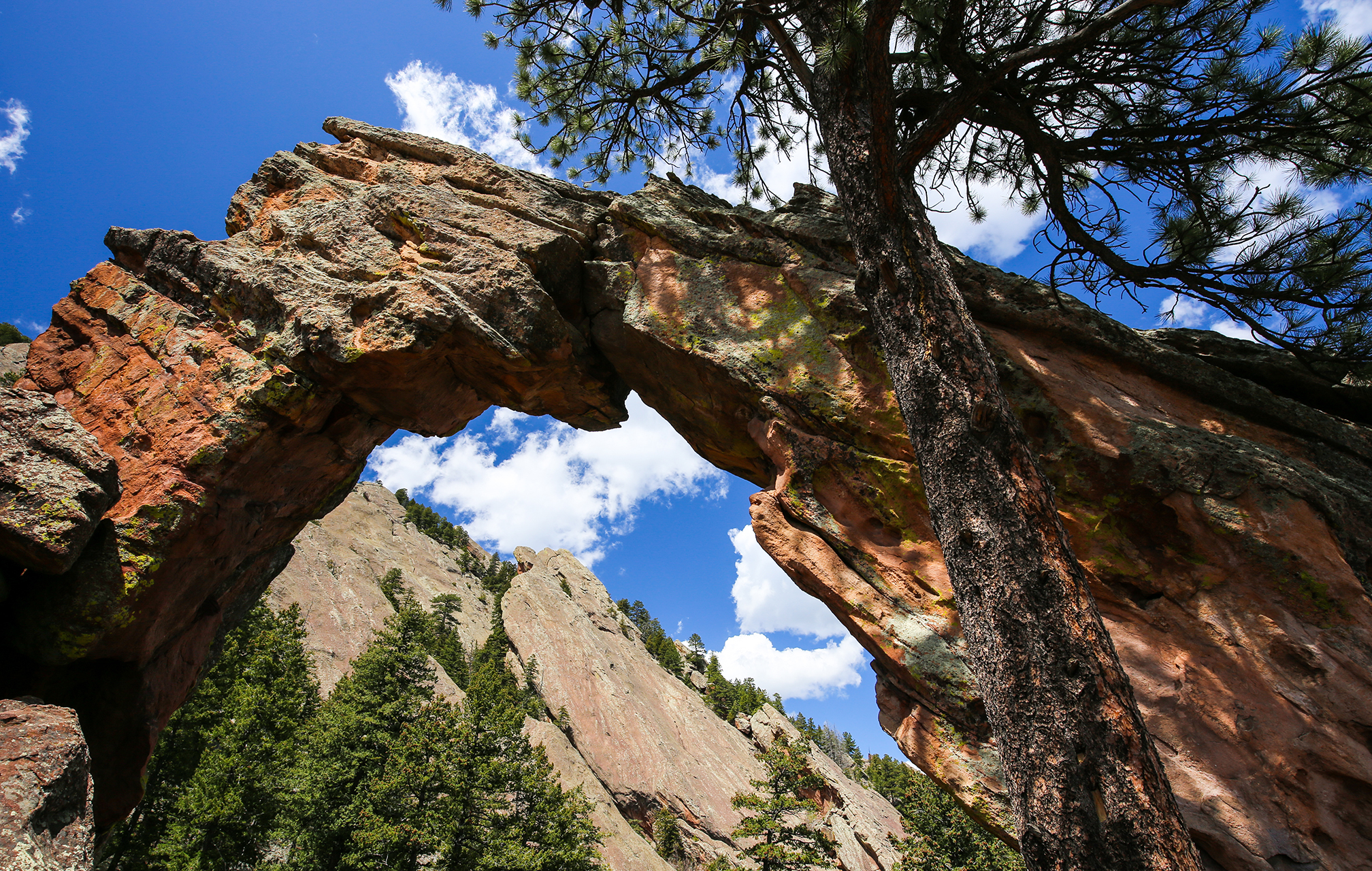Royal arch rock formation, a large rock arch with trees and a blue sky