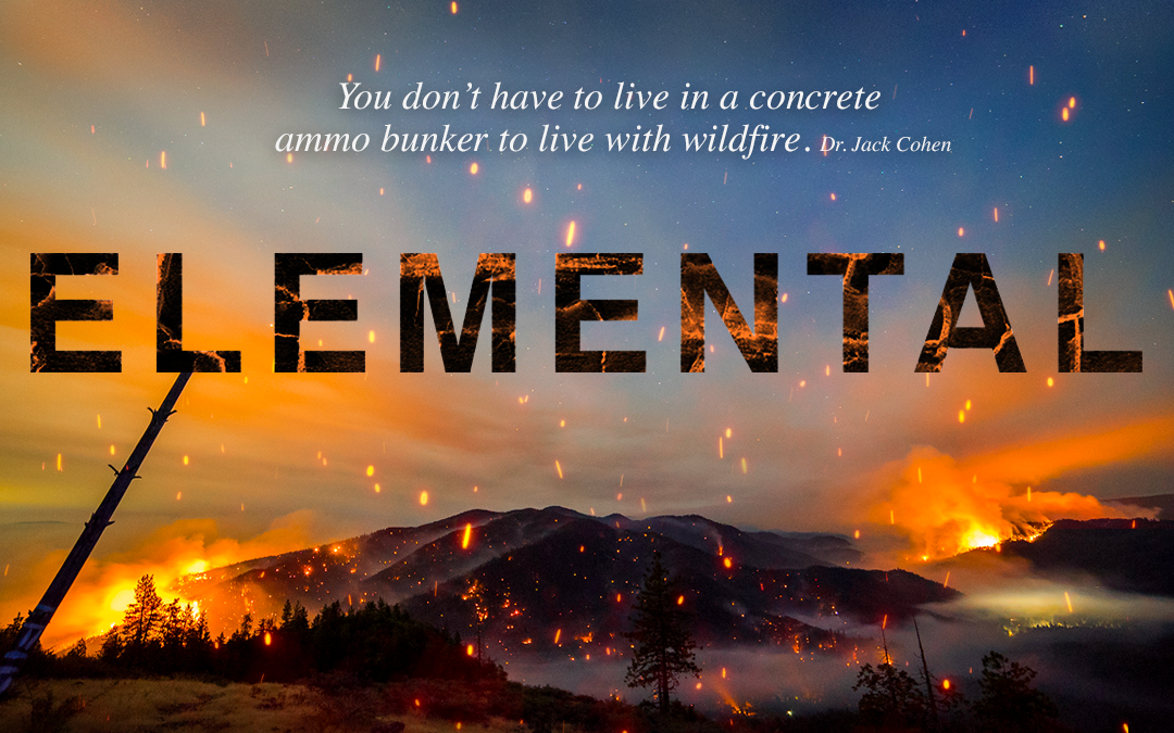 Elemental: Reimagining our Relationship with Wildfire
