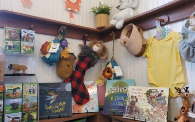 General Store Art, Book and Toy Sale